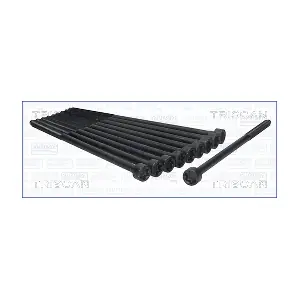 98-1007 TRISCAN