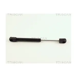 8710 16211 TRISCAN