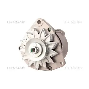 TRISCAN 8310 69001