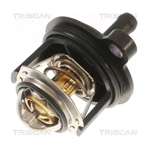 8620 53450 TRISCAN