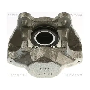 8175 29138 TRISCAN