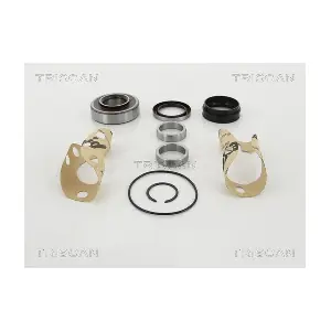 8530 13281 TRISCAN