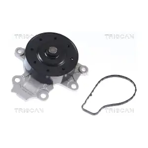 860013047 TRISCAN