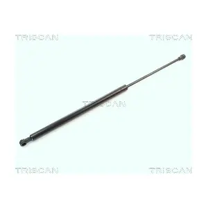 8710 11218 TRISCAN