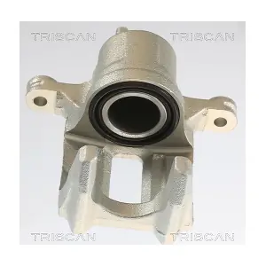 TRISCAN 8175 40202