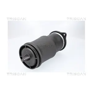 8720 23210 TRISCAN