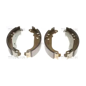 TRISCAN 8100 25002
