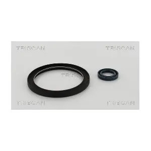 8550 10013 TRISCAN