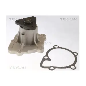 8600 43029 TRISCAN