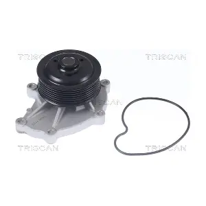 8600 68025 TRISCAN