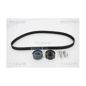 TRISCAN 8647 24024