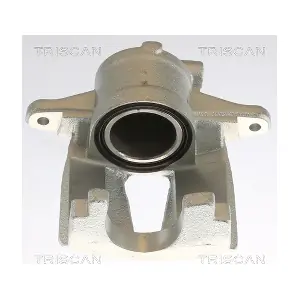 TRISCAN 8175 10110