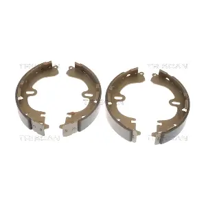TRISCAN 810013032