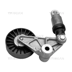 TRISCAN 8641 243004