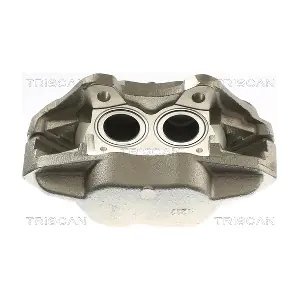 TRISCAN 8175 17102