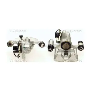 TRISCAN 8170341977
