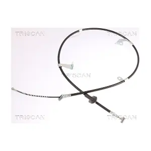 50971 TRISCAN