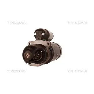 TRISCAN 8305 29011