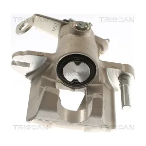 TRISCAN 8175 24223