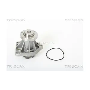 TRISCAN 860024013