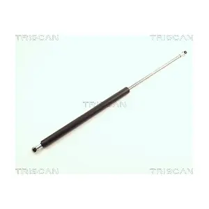 8710 24212 TRISCAN