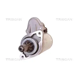TRISCAN 8305 29006