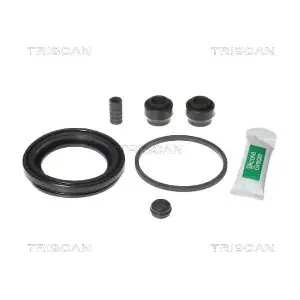 8170 206032 TRISCAN