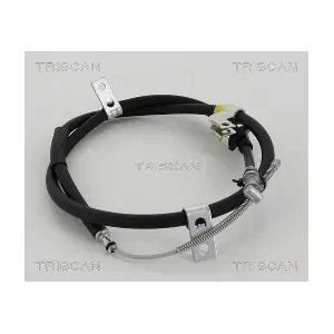 814068120 TRISCAN