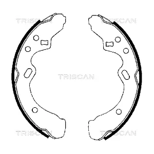 TRISCAN 810050438