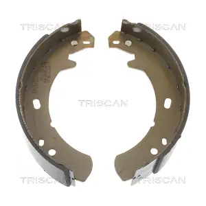 810017012 TRISCAN