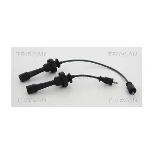 886042013 TRISCAN