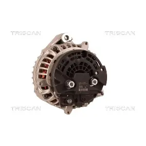 TRISCAN 8310 25019