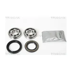 853068103 TRISCAN