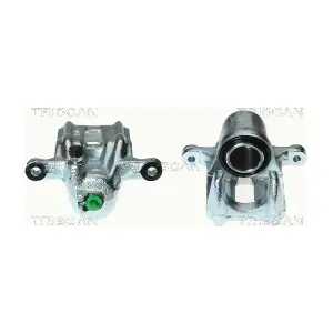 TRISCAN 8170342099