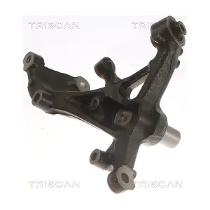 850029723 TRISCAN