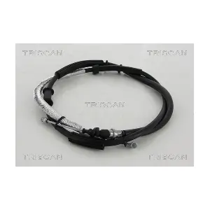 8140.151069 TRISCAN