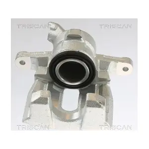 TRISCAN 8175 17201