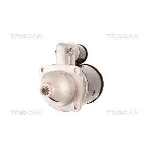TRISCAN 8305 11002