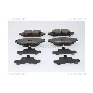 TRISCAN 8110 13182