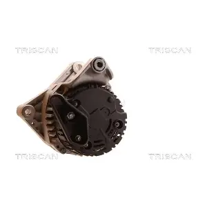 TRISCAN 8310 10071