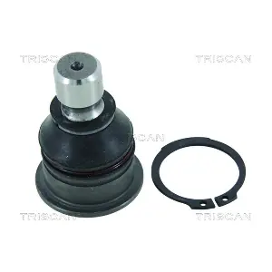 TRISCAN 850010581