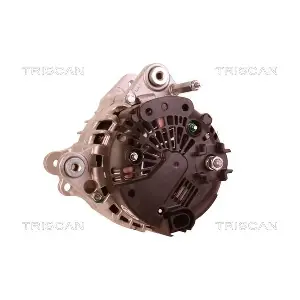 8310 10165 TRISCAN