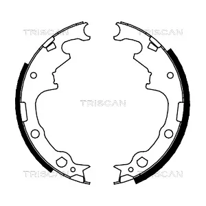 TRISCAN 810010001