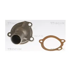302287 BorgWarner