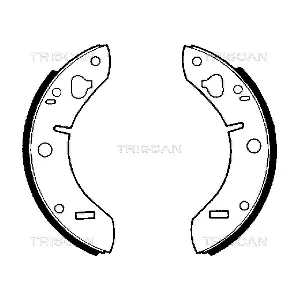 TRISCAN 810065011