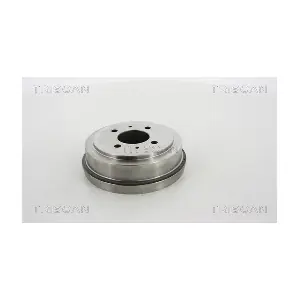 8120 42207 TRISCAN