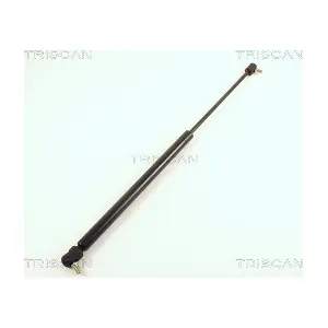 8710 67202 TRISCAN