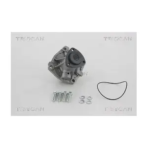 TRISCAN 860080010