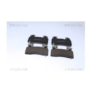 811010874 TRISCAN