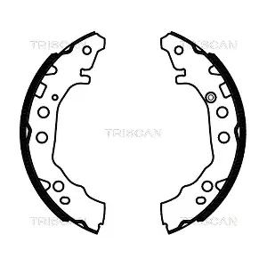 TRISCAN 810013052